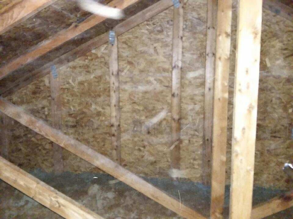 The same attic sheathing cleaned back to bare wood after remediation