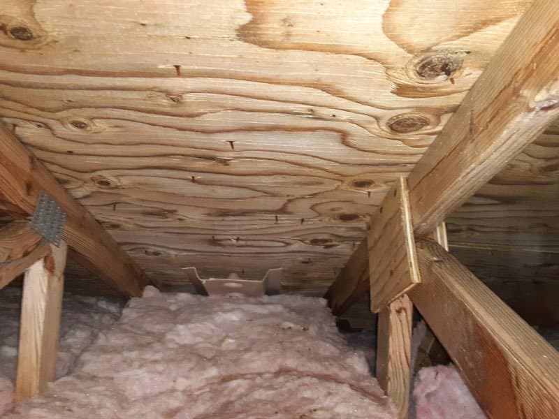 Attic decking and rafters clear of mold staining after treatment