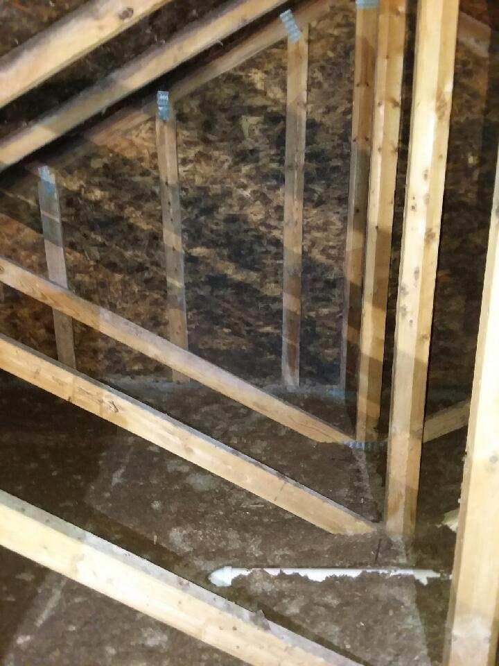 Attic roof sheathing covered in dark mold growth before remediation