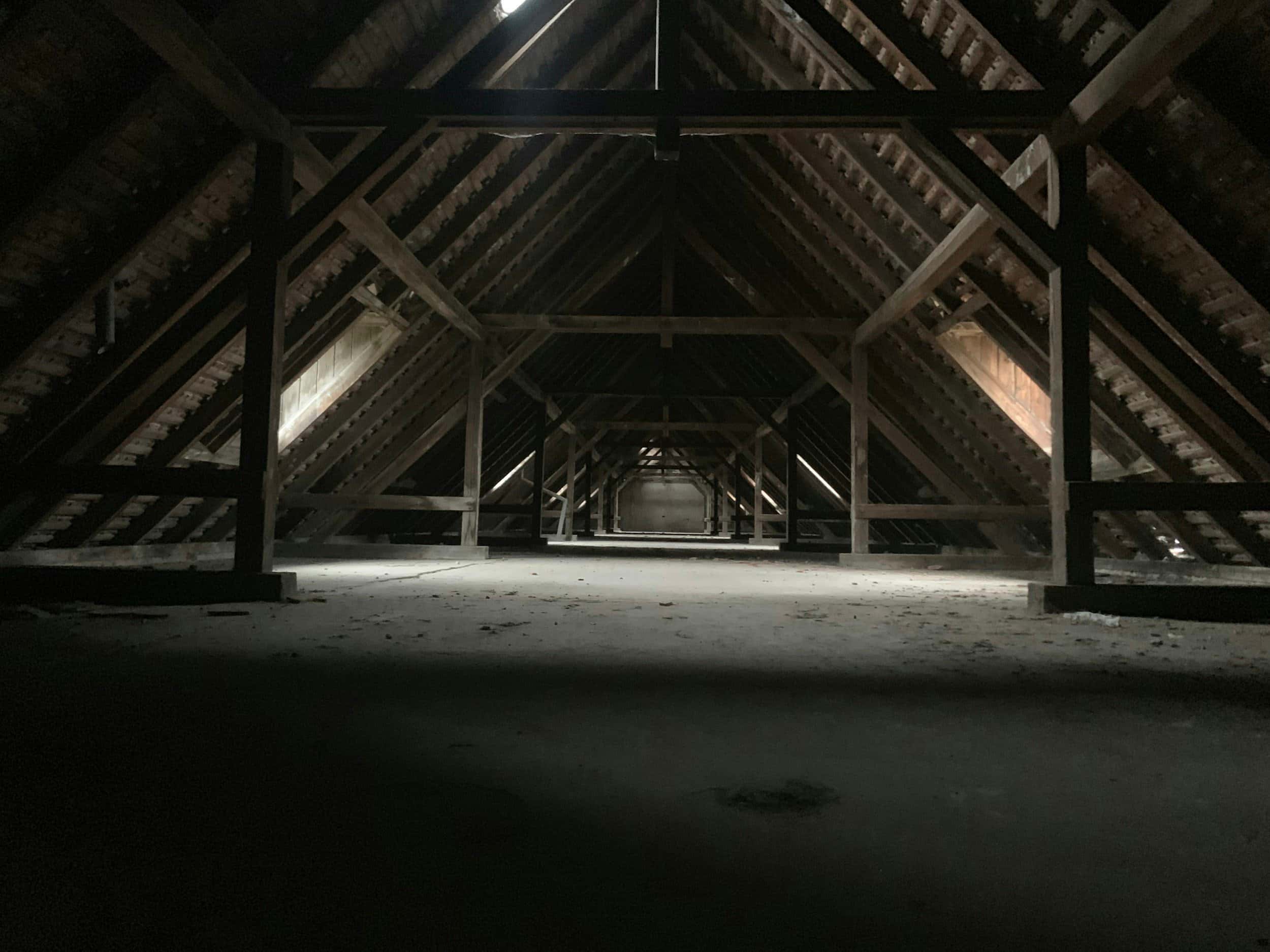 Dark, empty attic with wooden beams and angled roof.